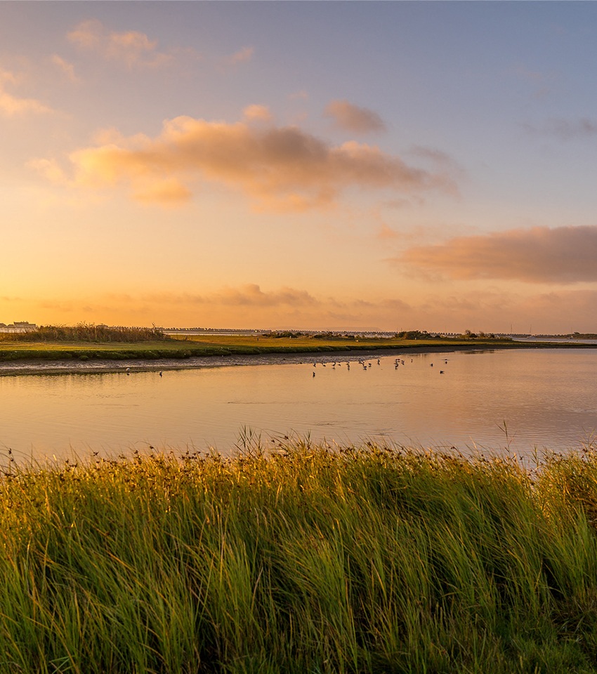 Marsh